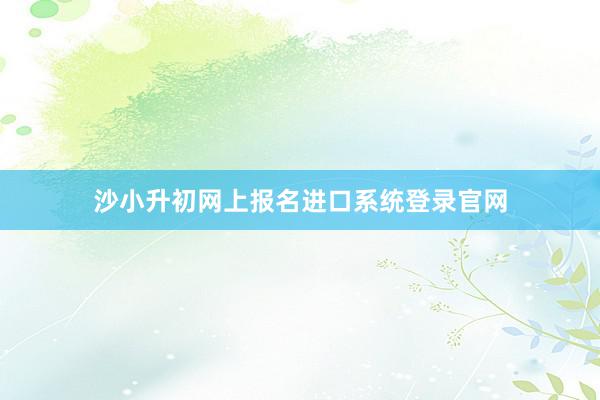 沙小升初网上报名进口系统登录官网