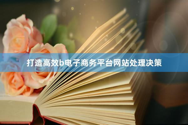 打造高效b电子商务平台网站处理决策