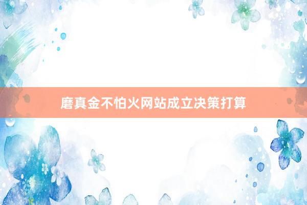 磨真金不怕火网站成立决策打算