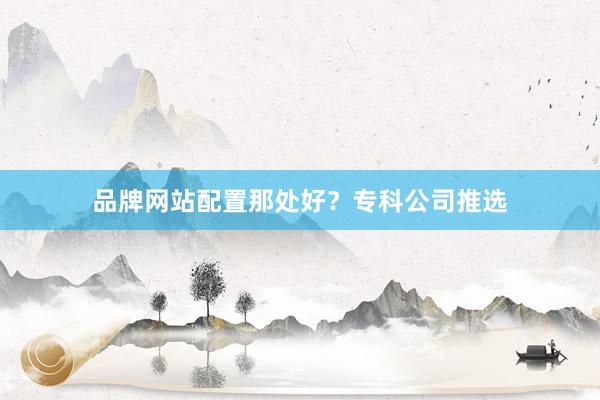 品牌网站配置那处好？专科公司推选