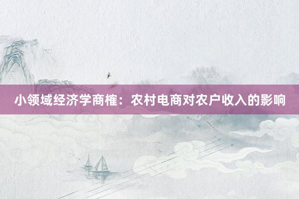 小领域经济学商榷:农村电商对农户收入的影响